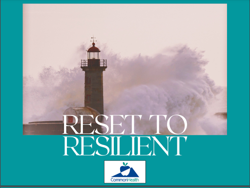 Logo du programme Reset to Resilient