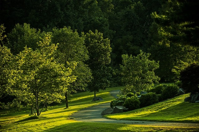 Parc d'État boisé de Virginie